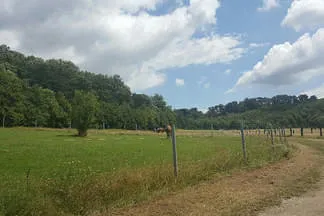 Reitstall Wildegg Bild 1