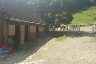 Reitstall Wildegg Bild 4