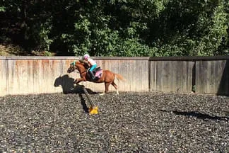 Reitstall Wildegg Bild 6
