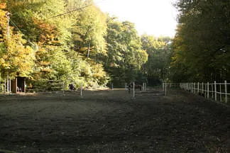Reitstall Wildegg Bild 10